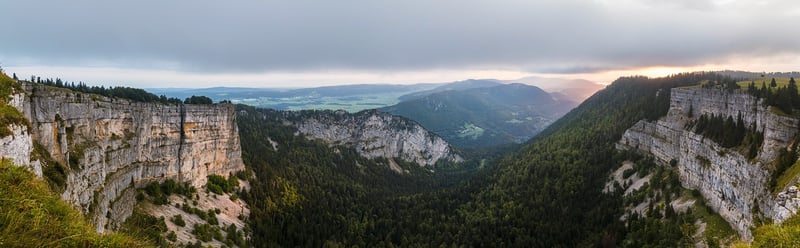 Magical Forest Locations
